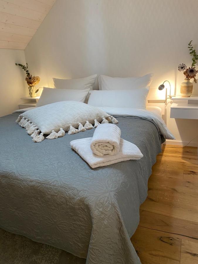 Ferienwohnung D.D. Chalet Aitrach المظهر الخارجي الصورة
